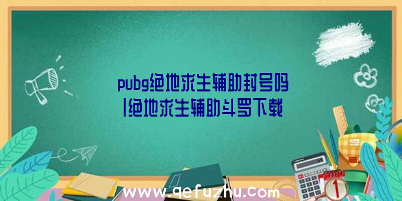 「pubg绝地求生辅助封号吗」|绝地求生辅助斗罗下载